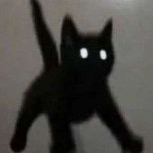 Meet your Posher, Jacquelyn